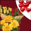 Feelings of Heart - Click here to View more details about this Product